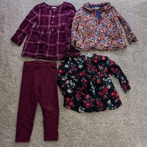 Girls Clothing Lot - 2T